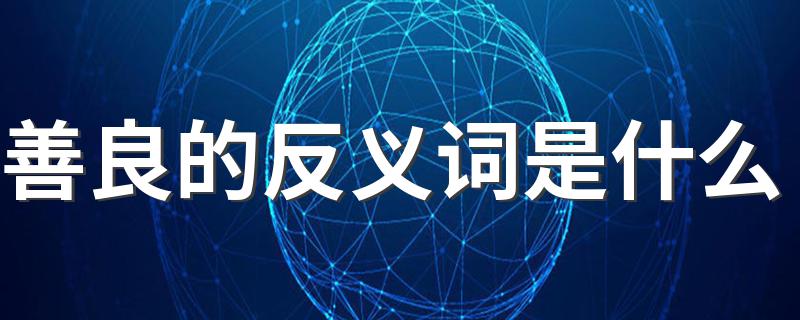 善良的反义词_善良的反义词是什么