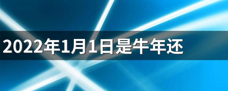 2022年虎年从几号开始_2022年1月1日是牛年还是虎年