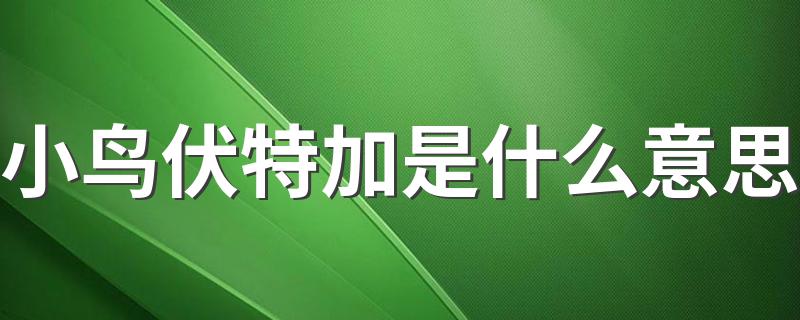什么是小鸟伏特加_小鸟伏特加是什么意思