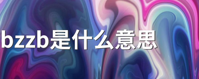 bzzb意思简述_bzzb是什么意思