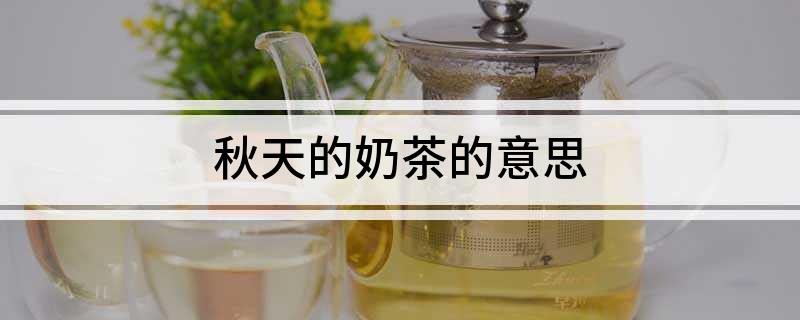 秋天的奶茶的意思