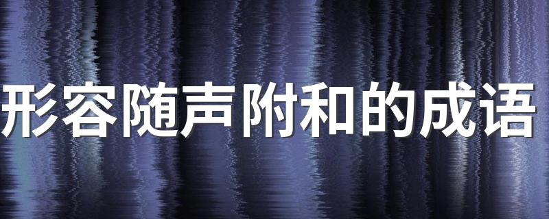 形容随声附和的成语有哪些_形容随声附和的成语