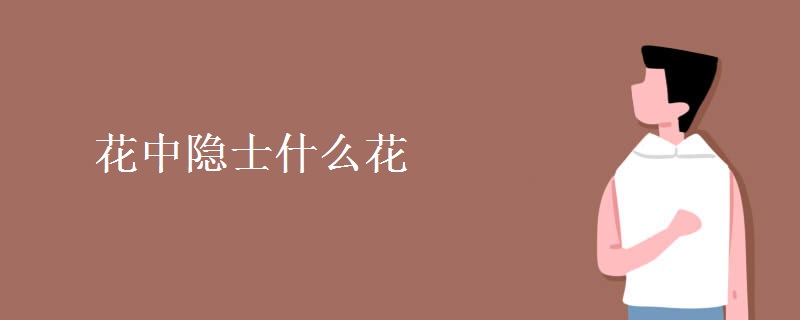 花中隐士什么花