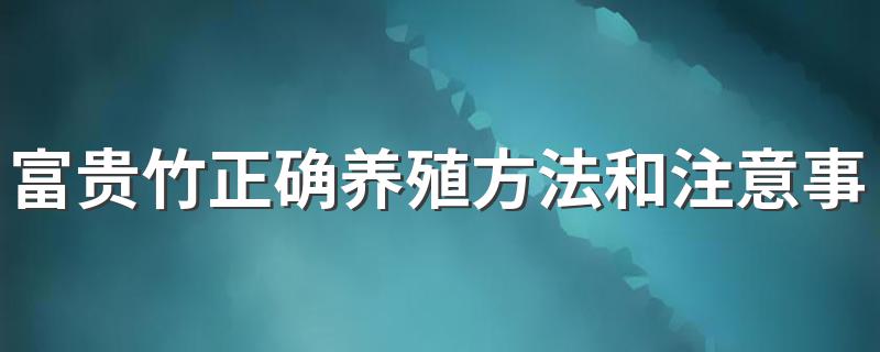 富贵竹怎么养_富贵竹正确养殖方法和注意事项