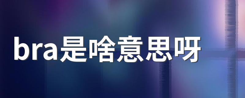 Bra的详细尺寸是多少？_bra是啥意思呀