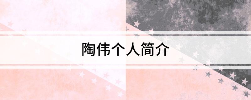 陶伟个人简介