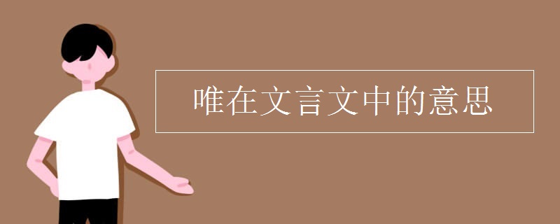 唯在文言文中的意思