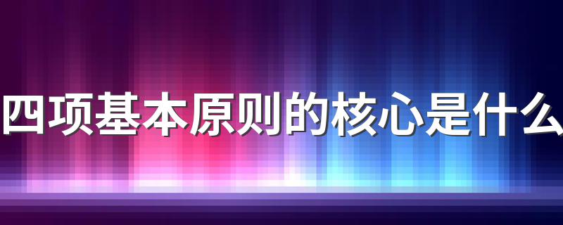 四项基本原则的核心介绍_四项基本原则的核心是什么