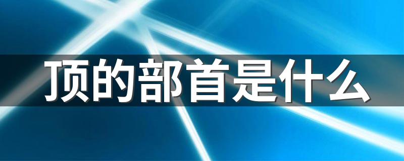 部首介绍_顶的部首是什么