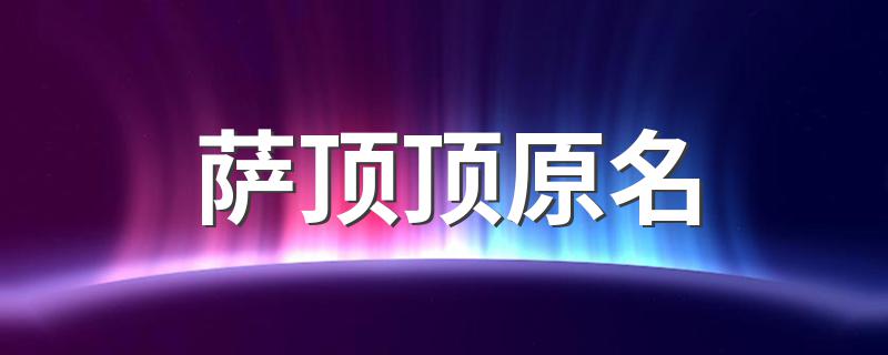 萨顶顶个人简介_萨顶顶原名