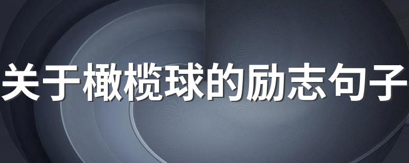 关于橄榄球的励志句子精选_关于橄榄球的励志句子