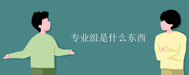 专业组是什么东西