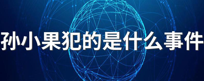孙小果犯的是何事件_孙小果犯的是什么事件