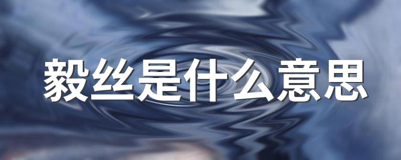 网络语毅丝什么意思_毅丝是什么意思