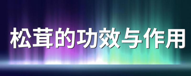 松茸简单介绍_松茸的功效与作用