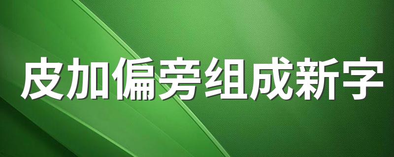 汉字皮加偏旁可以组成什么字_皮加偏旁组成新字