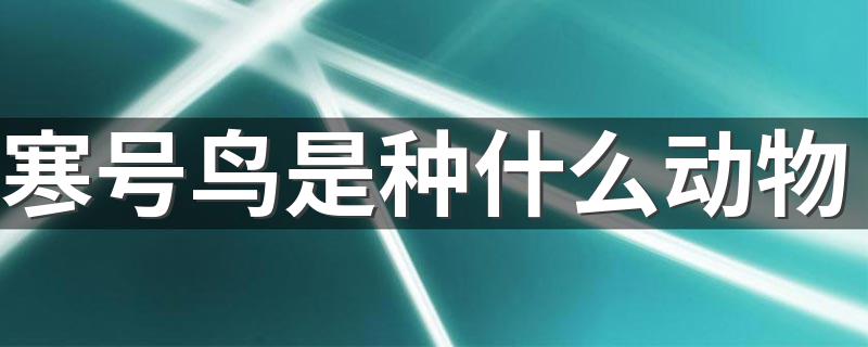 寒号鸟主要分布在哪_寒号鸟是种什么动物