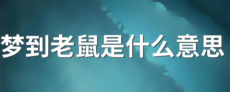 梦到老鼠的寓意_梦到老鼠是什么意思