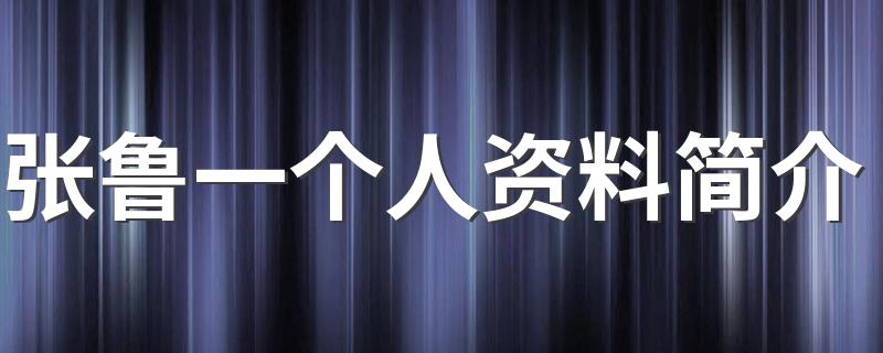 张鲁一个人资料简介描述_张鲁一个人资料简介