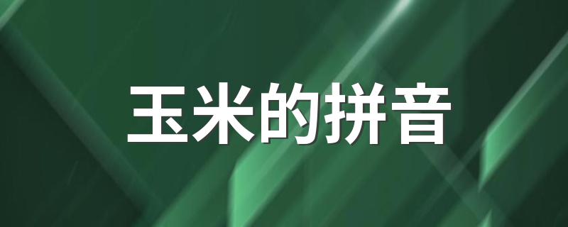 玉米还有哪些叫法_玉米的拼音