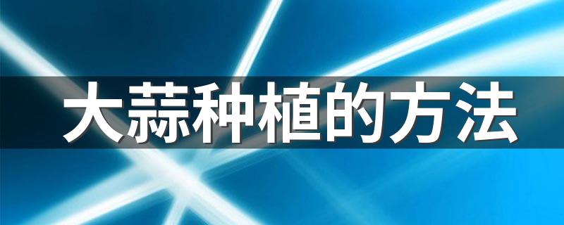 大蒜的种植方法及注意思事项_大蒜种植的方法