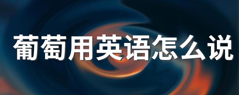 葡萄英语说法_葡萄用英语怎么说