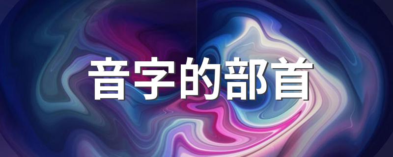 音字的部首是什么_音字的部首