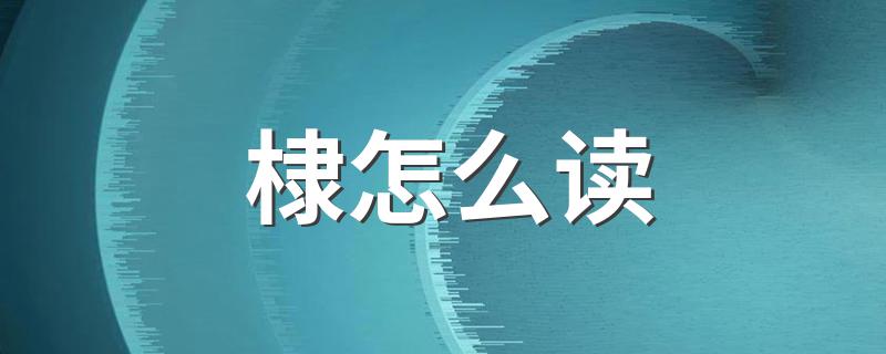 棣读音及解释_棣怎么读