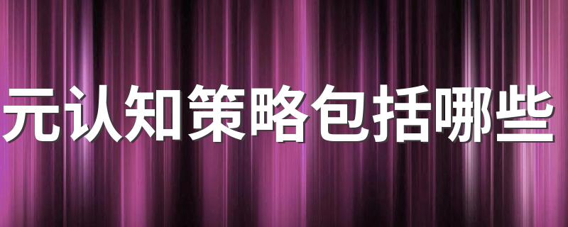 元认知策略包括内容简述_元认知策略包括哪些