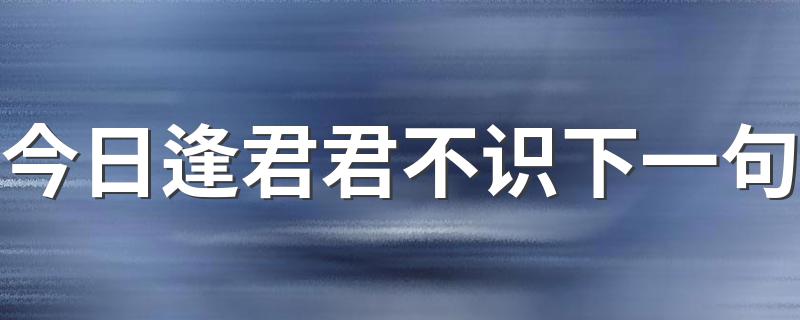 有关今日逢君君不识下一句是什么_今日逢君君不识下一句