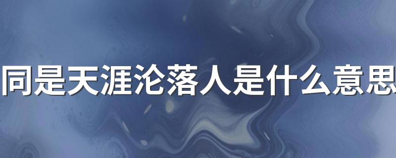 同是天涯沦落人解释_同是天涯沦落人是什么意思