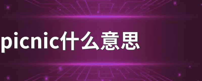 picnic解释_picnic什么意思