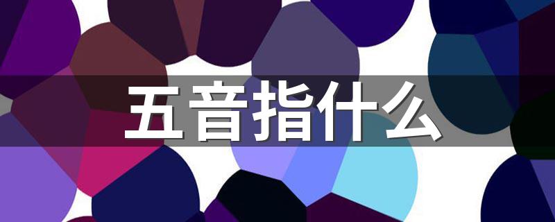五音介绍_五音指什么