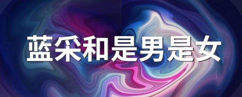 蓝采和简单介绍_蓝采和是男是女