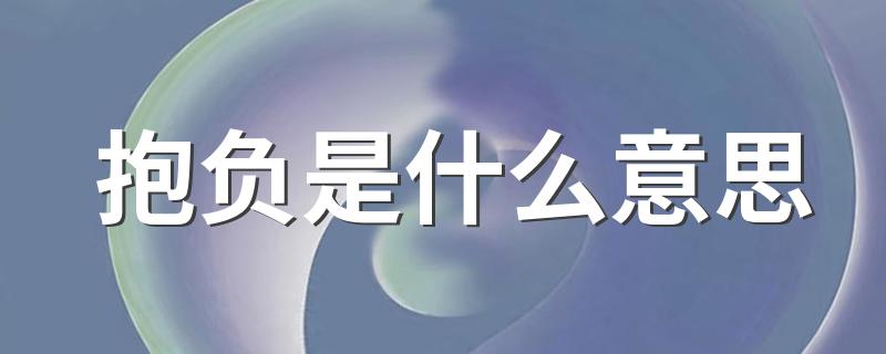 抱负的解释_抱负是什么意思