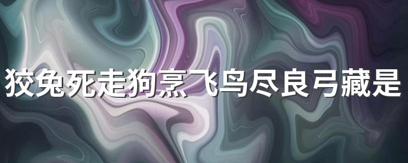 狡兔死走狗烹飞鸟尽良弓藏的出处_狡兔死走狗烹