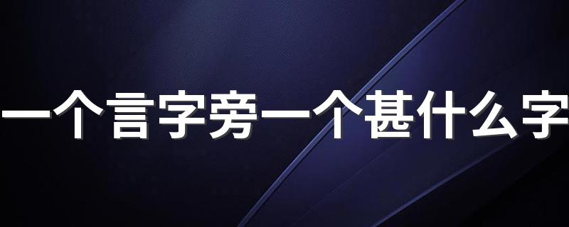 一个言字旁一个甚的字介绍_一个言字旁一个甚什么字
