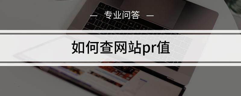 如何查网站pr值