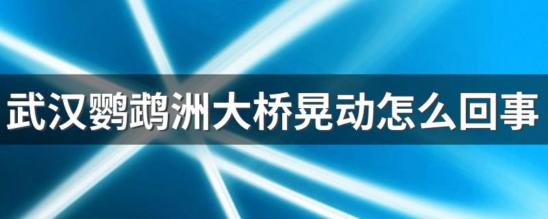 武汉鹦鹉洲大桥晃动原因简述_武汉鹦鹉洲大桥晃动怎么回事
