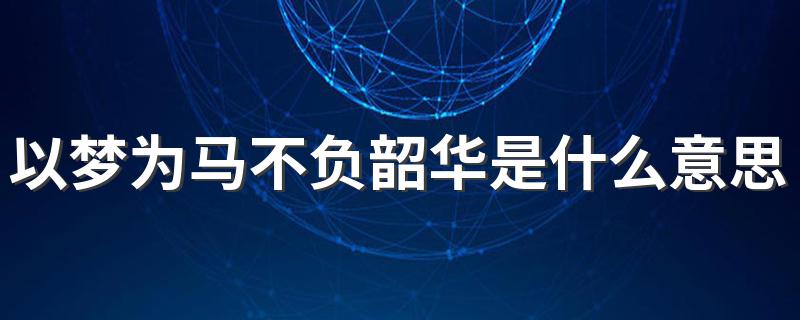 以梦为马不负韶华的解释_以梦为马不负韶华是什么意思