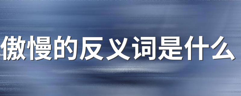 傲慢什么意思_傲慢的反义词是什么