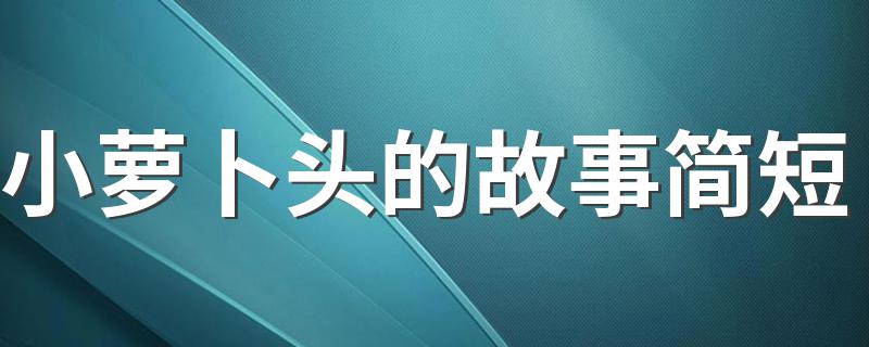 小萝卜头是怎么回事_小萝卜头的故事简短