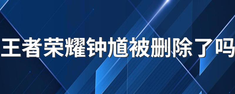 钟馗技术简介_王者荣耀钟馗被删除了吗