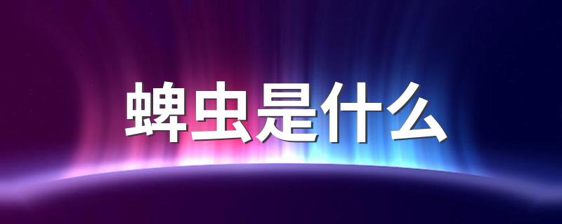 蜱虫介绍_蜱虫是什么