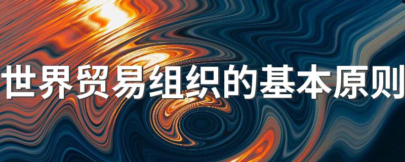 WTO基本原则是什么_世界贸易组织的基本原则