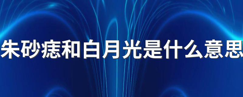 白月光朱砂痣是什么_朱砂痣和白月光是什么意思