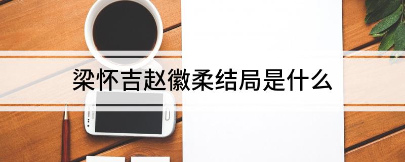 梁怀吉赵徽柔结局是什么
