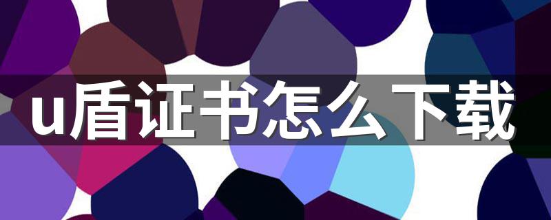 推荐这两种方法_u盾证书怎么下载