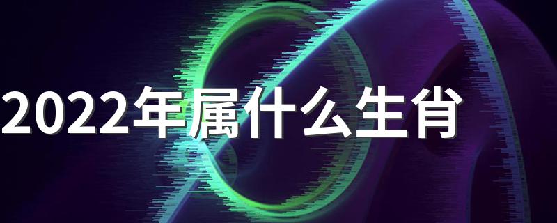 2022年出生是什么生肖_2022年属什么生肖