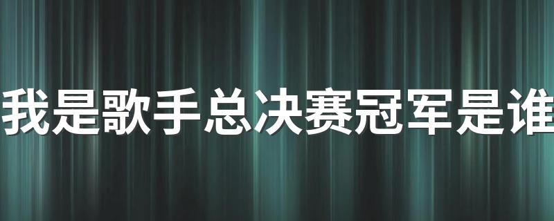 冠军是羽泉_我是歌手总决赛冠军是谁